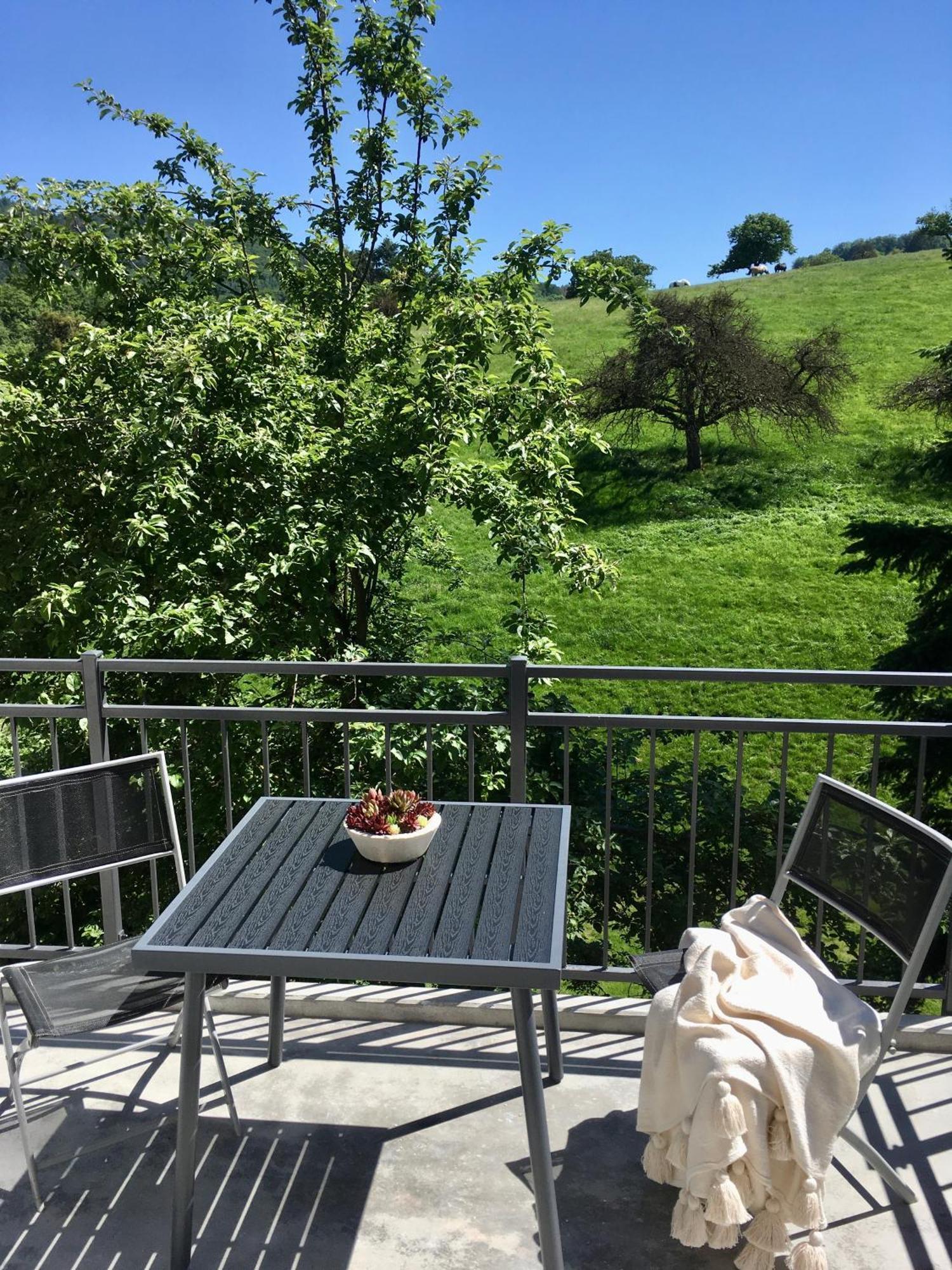Weinheim Apartments Экстерьер фото